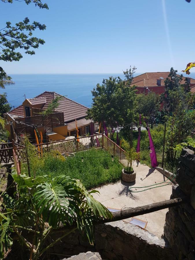 Dazk Golden Estate Hotell Ribeira Brava Eksteriør bilde